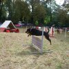 foire-haricots 2011-09-17et18